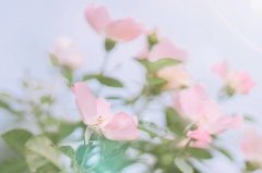 社保卡到期了如何在网上更换新卡（4月18日）