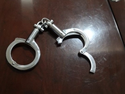 杀人奸尸连环作大案侦破纪实:哈尔滨太平色魔案落纪实