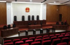 石家庄悍匪靳如超大案纪实