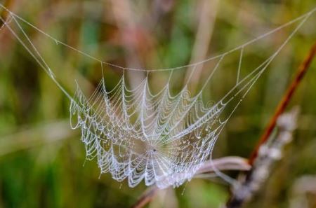 循迹商代中期都城:这座三千多年前的城市有哪些秘密?