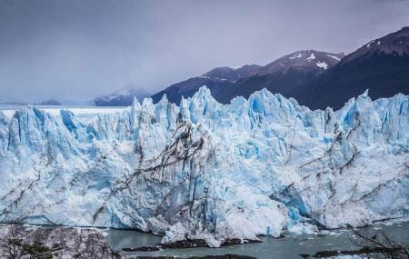 封神榜四大天王魔家四将名字