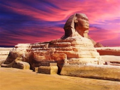 上章-猫咪喝奶时用了精妙的流体力学原理