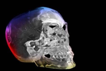 土-恐龙灭绝新说：携带病菌昆虫是祸首