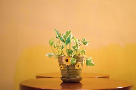 震-玛雅人：2012世界末日说法来自西方 日不会发生